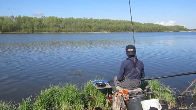 Ловля на поплавок на р.Сура! Тест Dunaev World Champion смотреть онлайн