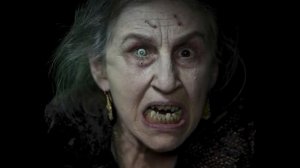 Почему нельзя смотреть кошке в глаза? Интересные факты про кошек. Суеверия и мистика о кошках