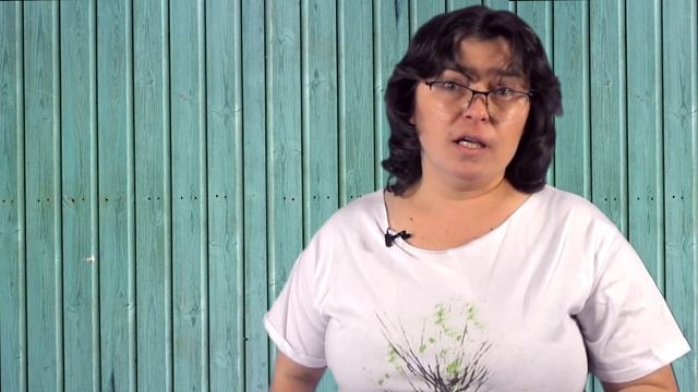Средства химической защиты растений. Инсектициды и фунгициды.