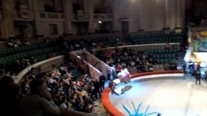 цирк ростовский ! места . расположение .обзор