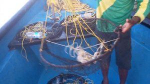 Ловля крабов на реке Сал