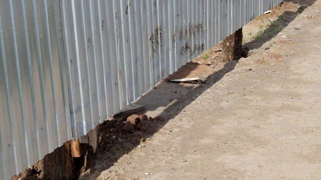 Позорро смотреть онлайн