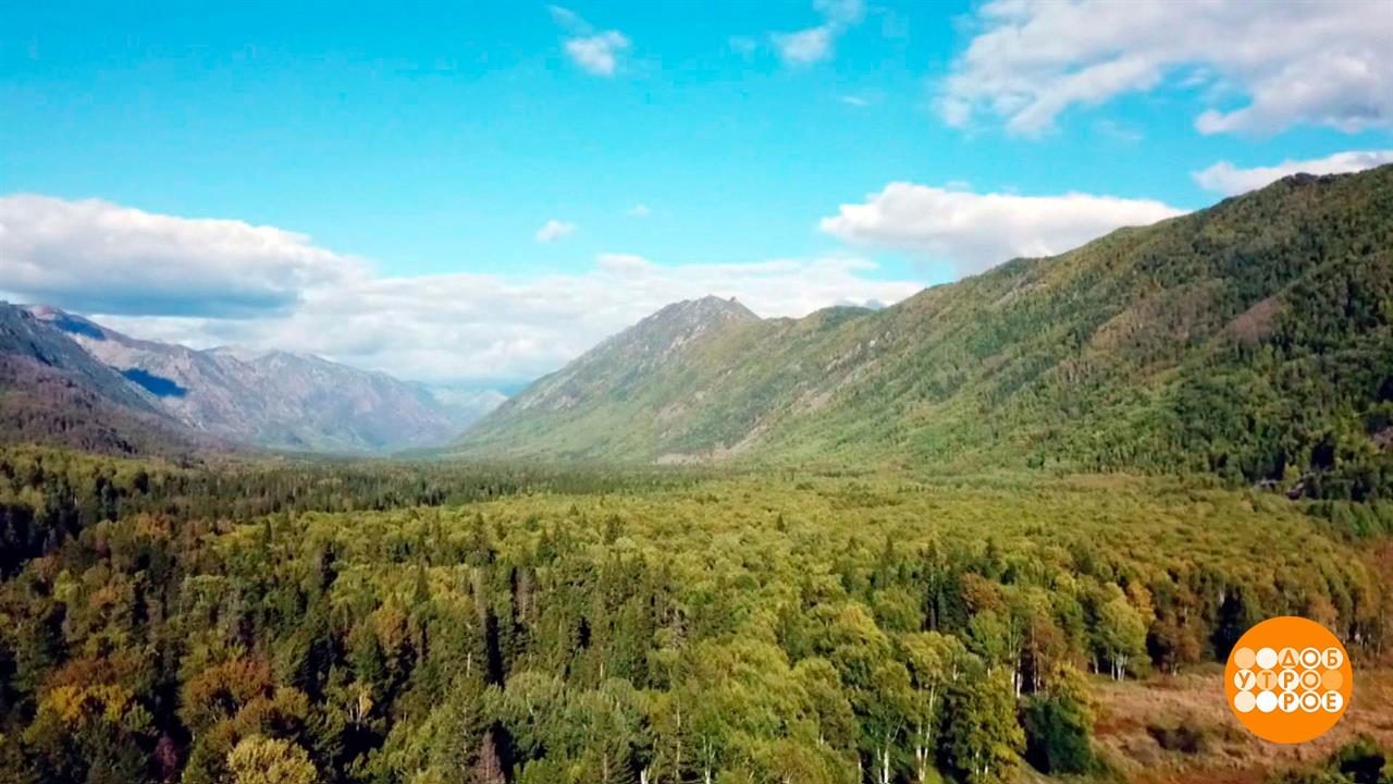 Здесь будет город-лес! Доброе утро. Суббота. Фрагмент выпуска от 16.09.2023