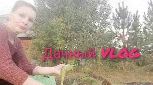 Архивный VLOG Лето 2023. Какой в итоге урожай. Планы на 2024 год.