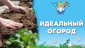Существует ли идеальный огород