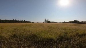 г  Болохово - Город детства (FPV съемка).webm