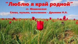 Люблю я край родной. ст. Мешковская.