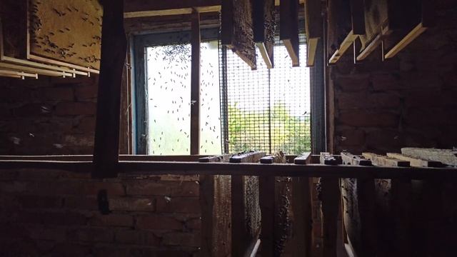 Хранение суши, самый простой и надёжный способ. Пчеловодство