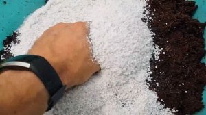 Еще раз про почвосмесь для рассады земляники!