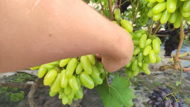 Мальчик спальчик смотреть онлайн