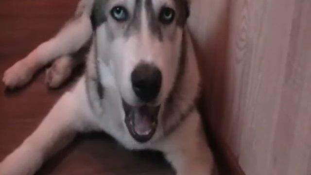 Март 4 мес смотреть онлайн