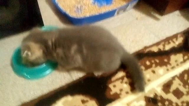 Я не забыл про вас) смотреть онлайн