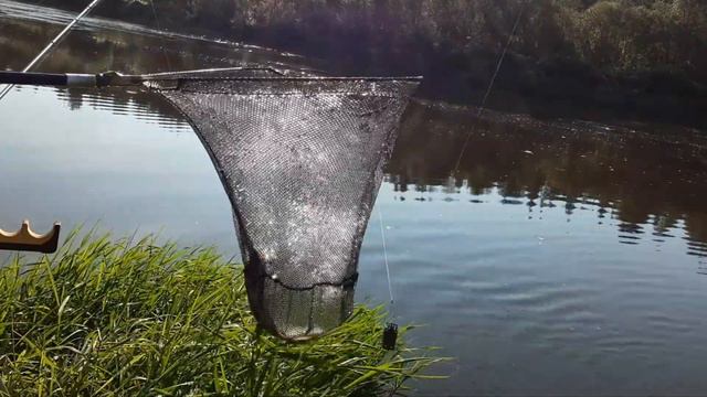 На Клязьме по новым местам смотреть онлайн