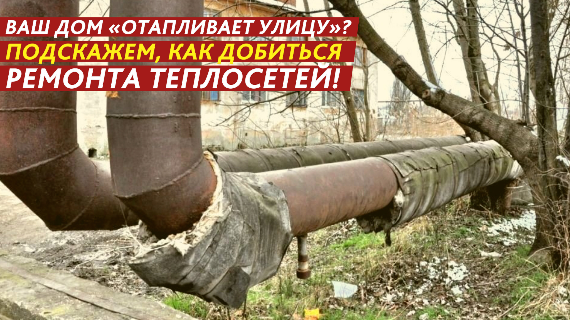 Ваш дом «отапливает улицу»? Подскажем, как добиться ремонта теплосетей!