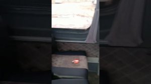 Мерседес Спринтер Турист