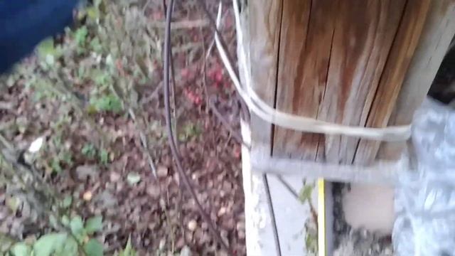 ☼Чистка синичников перед весной и замена наполнителя ( собачьей шерстью) , когда то подсмотрел . смотреть онлайн