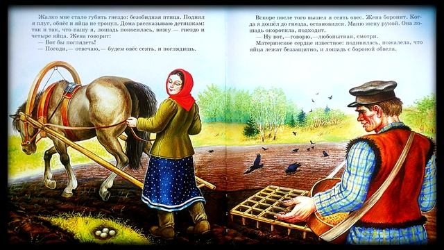 Луговка  Аудиосказка для детей с картинками Mikhail Prishvin