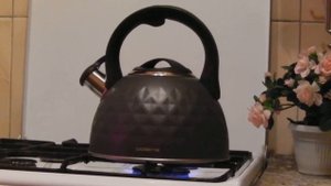 Чайник POLARIS со свистком Kontur-3L