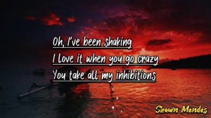 Shawn Mendes - There's Nothing Holdin Me Back (Lyrics)