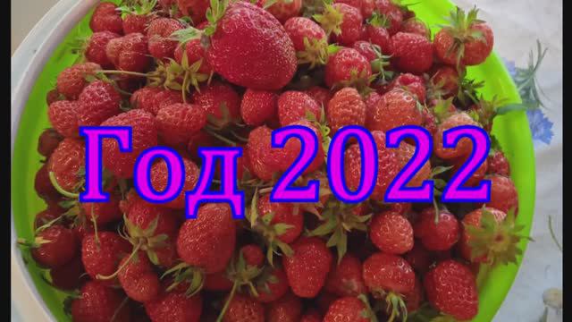 Бараит-Карелино, Юбилей.