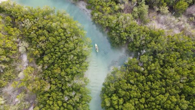 Didn't Expect This! Multi-Species Kayak Fishing Fort Pierce Florida смотреть онлайн