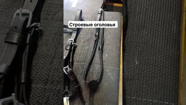 Два строевых оголовья для лошади и нагрудник кавалерийского седла