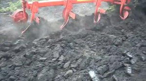 Плуг ПЛН4-40 МЗШ