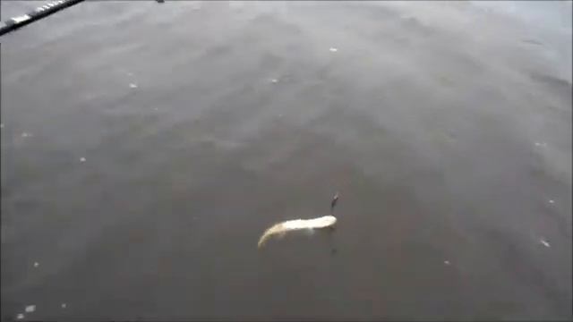 Погодная аномалия !!! смотреть онлайн