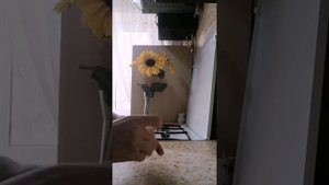 Домашняя яичная лапша (Готовить просто и быстро)