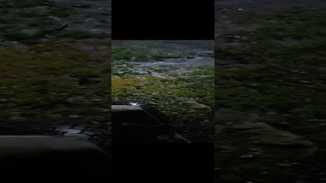 КМЗ -012 поехал по воду