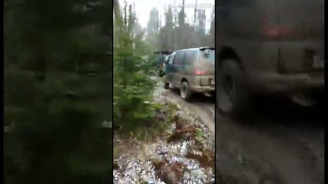 Лебедимся. Увязли почти все. (7 машин застряли в грязи).