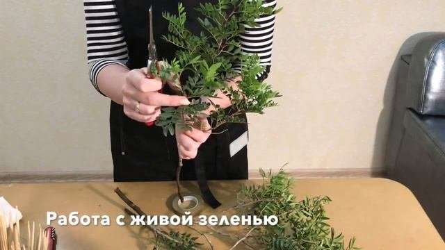 Съедобные букеты своими руками. Видео Уроки