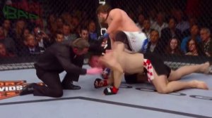 Мирко Крокоп травмировался