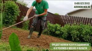 Услуги профессионального ухода за садовыми деревьями и кустарниками на даче
