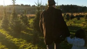 Выбираем ЁЛКУ на ФЕРМЕ!!! Лучшая Ёлка 2018 СРЕЗАЕМ Свою Ёлку САМИ Попали в СКАЗКУ