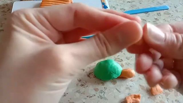 мастер-класс к Всемирному дню черепахи смотреть онлайн