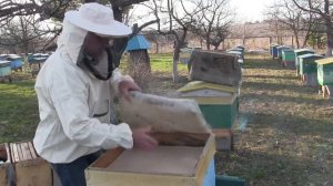 Проводим весеннюю ревизию пчел с Николаем Саханьковым