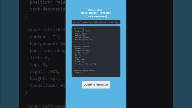 CSS Hover Border Transition