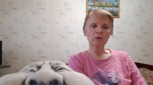 Как стоит распределять активы в инвестиционном портфеле?