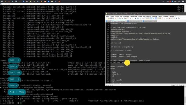 Установка MongoDB 5.0 на Rocky Linux 8.4 смотреть онлайн