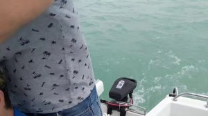 Haswing Ventura test