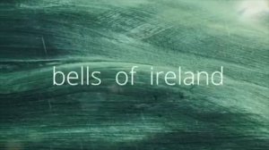 Bells of Ireland by Zidraw