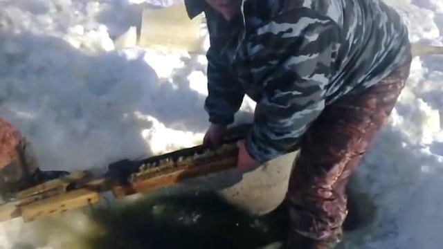 ловля мормыша