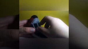 Мастер- класс для новичков. Валяние снегиря из шерсти