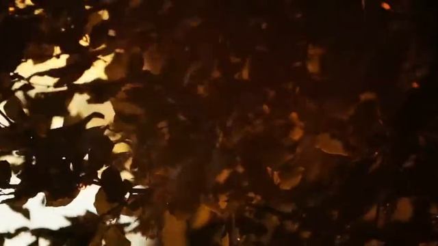 Расслабляющие эффекты | Волшебная природа | Медитация | Meditation смотреть онлайн