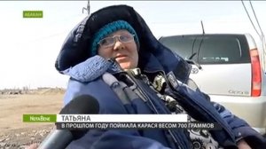 Жители Абакана ловят рыбу в луже вдоль дороги