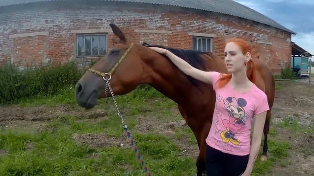 Орнела: история разлуки с хорошим концом! :) смотреть онлайн