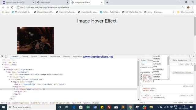 Image Hover Caption Text Effect HTML5 CSS3  Bootstrap4