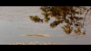 Валерия Бутарева - Роса