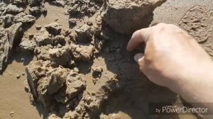 Пляжный КОП Моё первое ЗОЛОТО